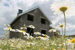 Дом из арболита и рамашки